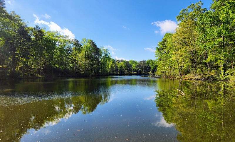 Duncan Park Lake